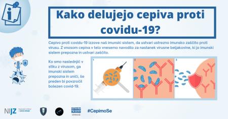17 Kako delujejo cepiva proti covidu-19